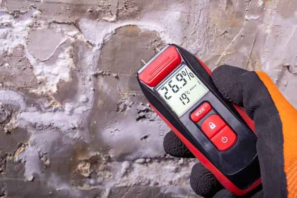 Best Industrial Mold Remediation in Moundville, AL