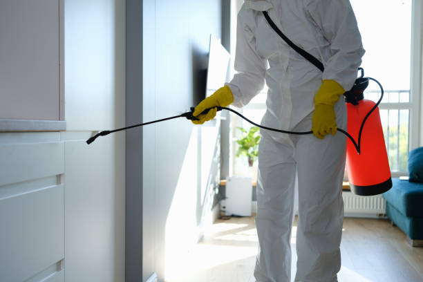Best DIY Mold Remediation Support Services in Moundville, AL